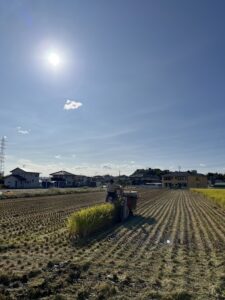 Read more about the article 令和5年　岡山県倉敷市玉島　コシヒカリの刈取り時水分